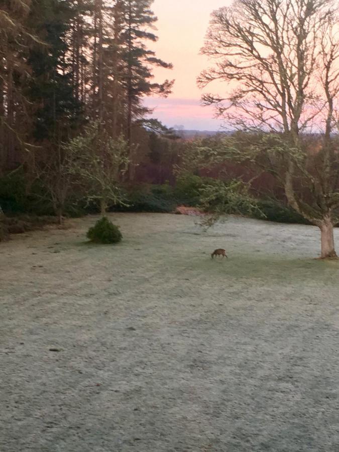 Blervie House Hotel Forres Buitenkant foto